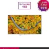 공식판매점 LG전자 LG 울트라HD TV 벽걸이형 65UP8300NNA (163cm)